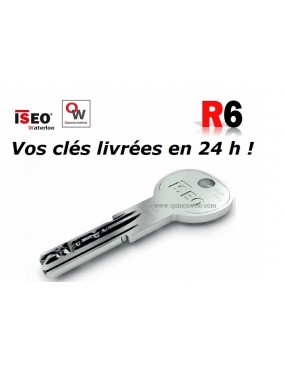 Cylindre bouton ISEO R6 30-60 - Disponible à Waterloo