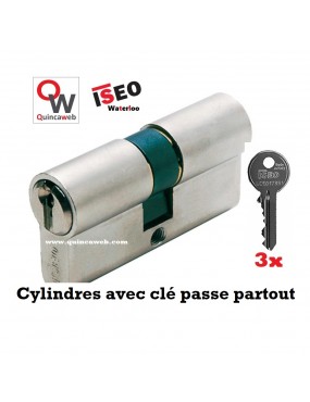 Cylindre ISEO F5 avec clé...