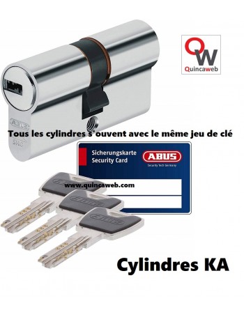 Abus Xp20 le cylindre haute sécurité d'Abus