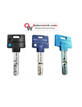 Cles Mul-T-LOck Security house