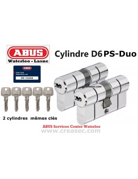 2 barillets Abus D6PS avec la même clé