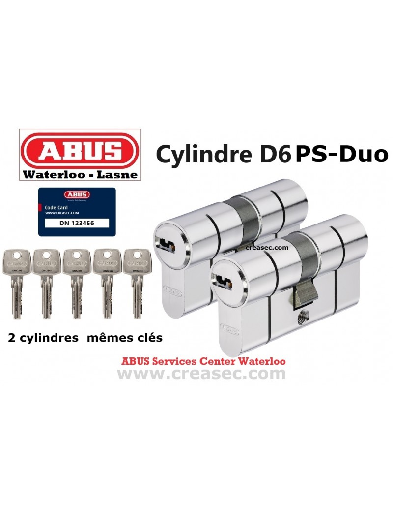 2 barillets Abus D6PS avec la même clé