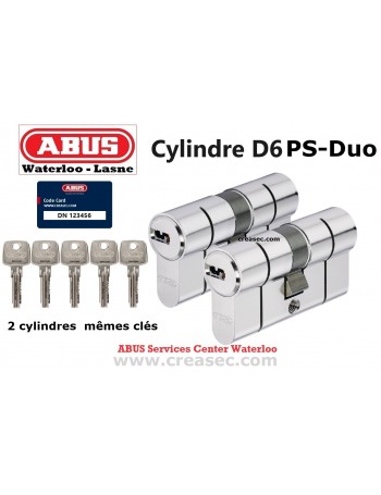 2 barillets Abus D6PS avec la même clé