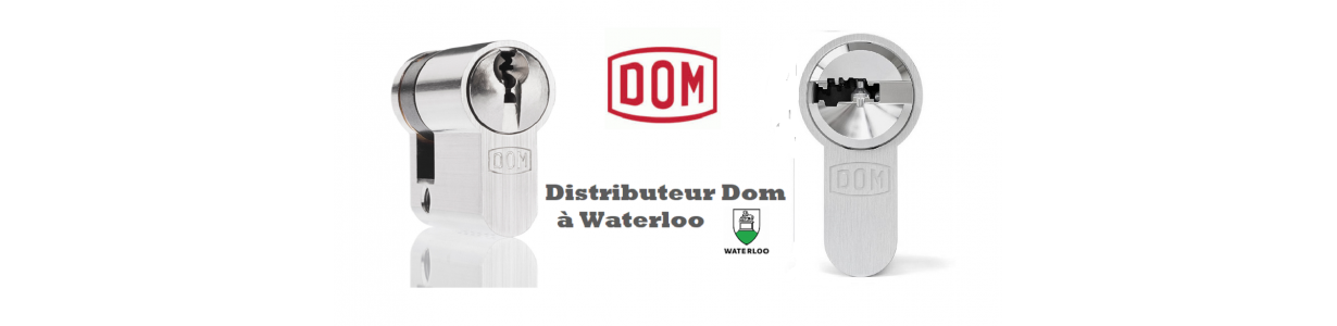 Cylindre de haute sécurité Dom iX Twido